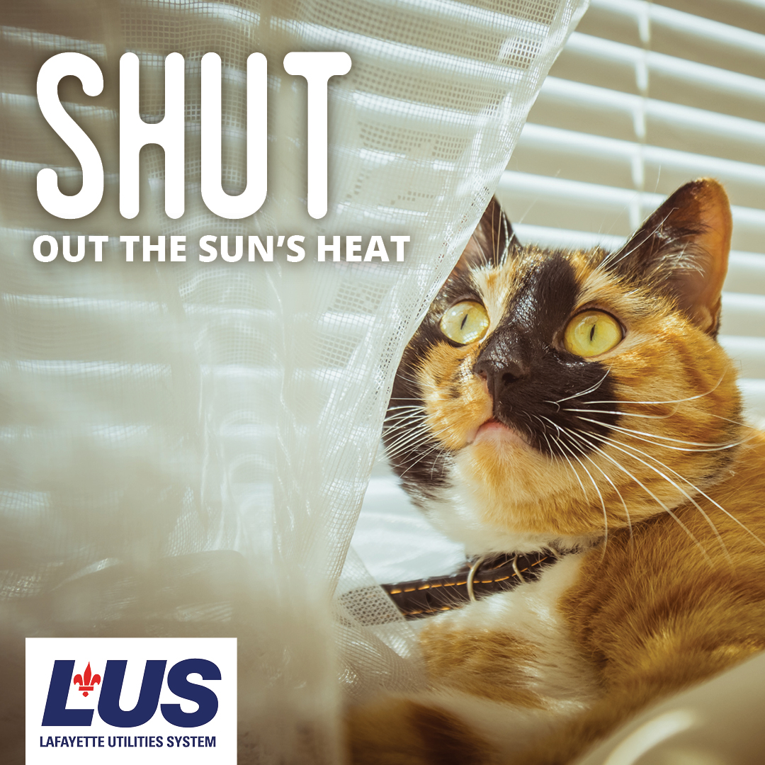 LUS-1370 Energy Campaign SoMe Fnl17